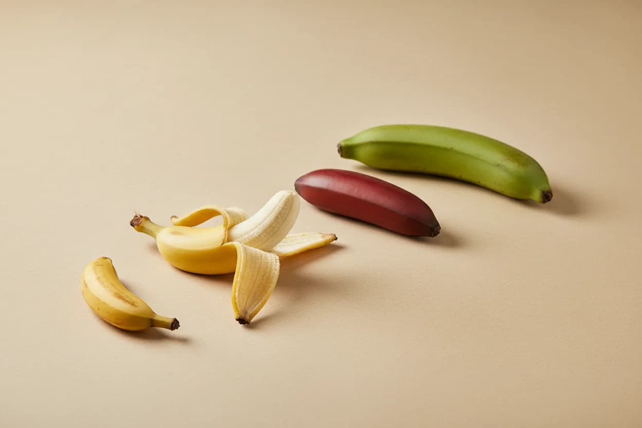 Big Mike, Blue Java, Matooke: a Map of Every Banana Worth Knowing